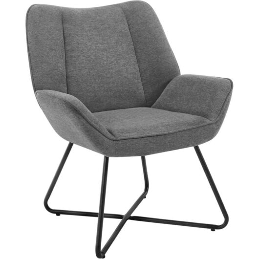 WOLTU Accent Chair Modern Occasional Chair Comfty Armchair with Backrest for Bedroom Living Room, Dark Grey